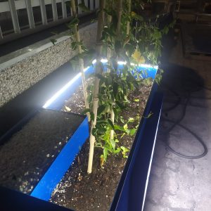 Illiminazione LED 2