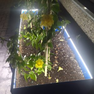 Illiminazione LED 4